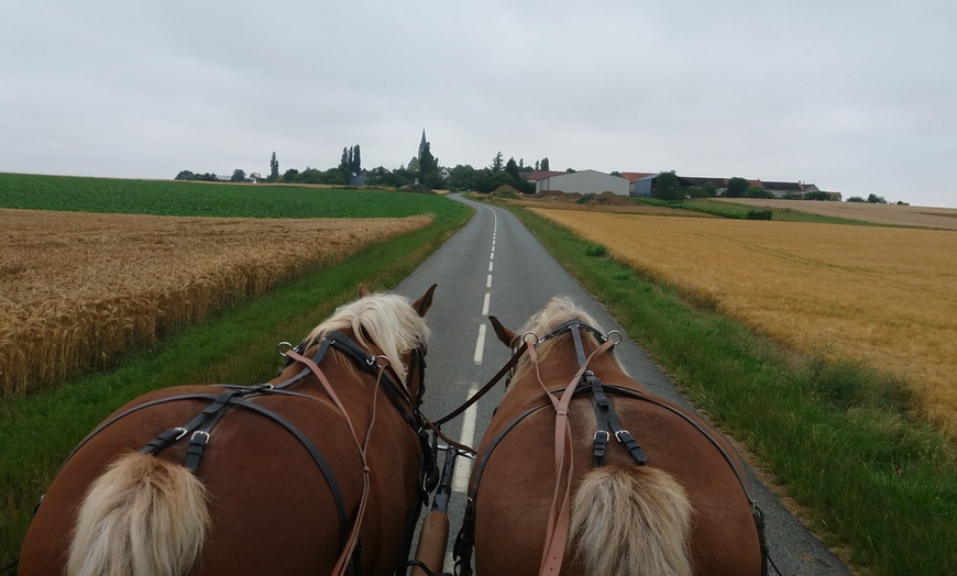 Image 3: Balade en calèche