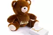 Gold or Silver-Plated Script Name Necklace with Plush Teddy Bear from MonogramHub (Up to 75% Off) - Second Medium