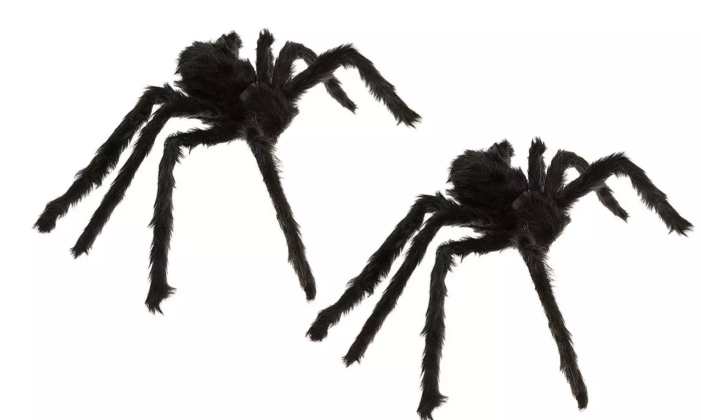 Giant Spider & Web Halloween Decoration Props