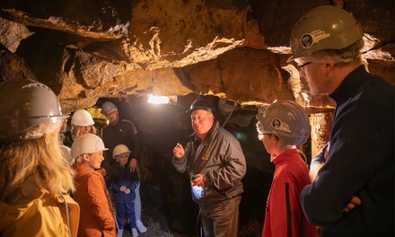 For One Adult: The Arigna Mining Experience Tour - Arigna Mining Experience
