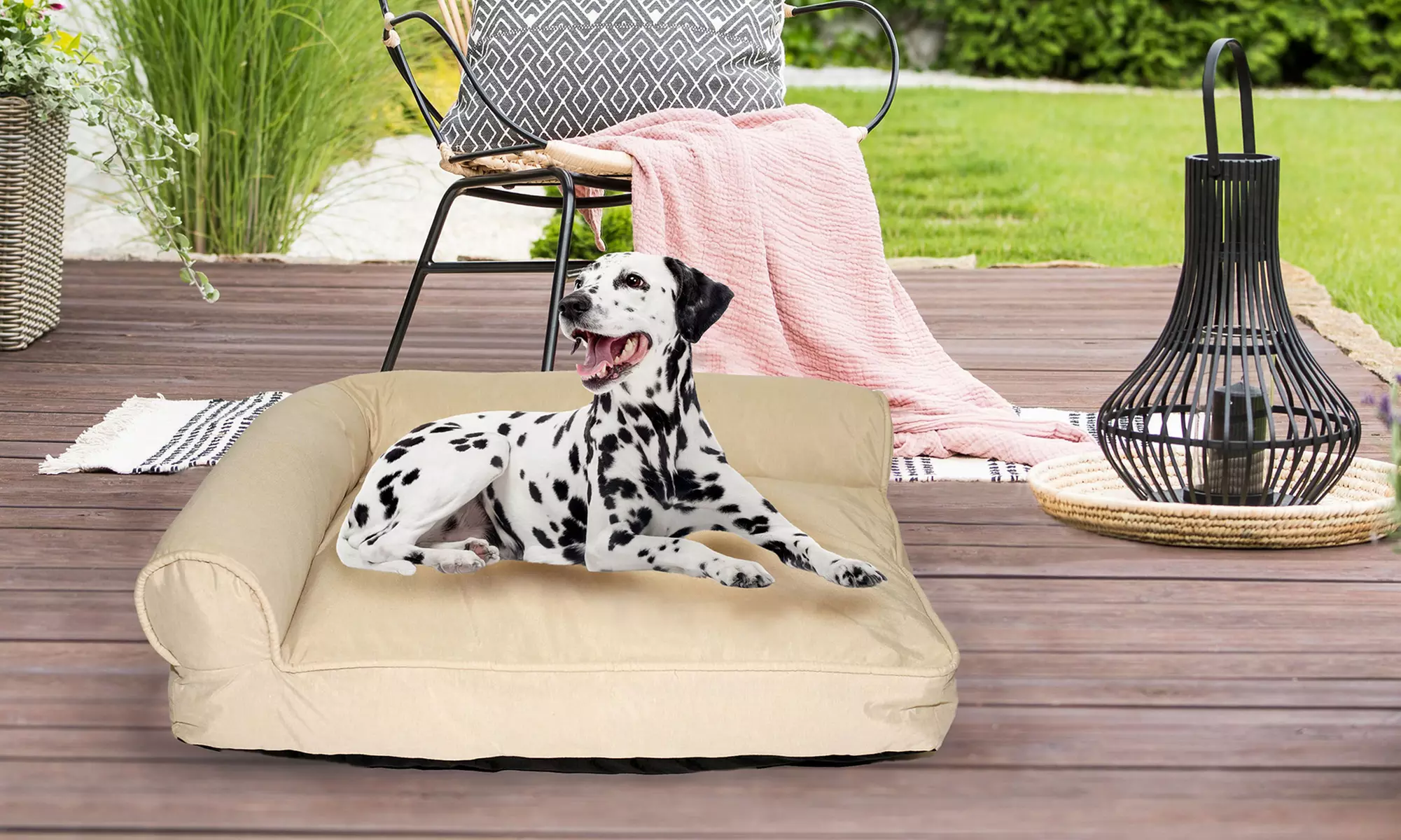 Canapé pour Chien TOBY Sogni e Capricci lavable et résistant - Primary Image