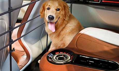 Griglia divisoria per auto regolabile