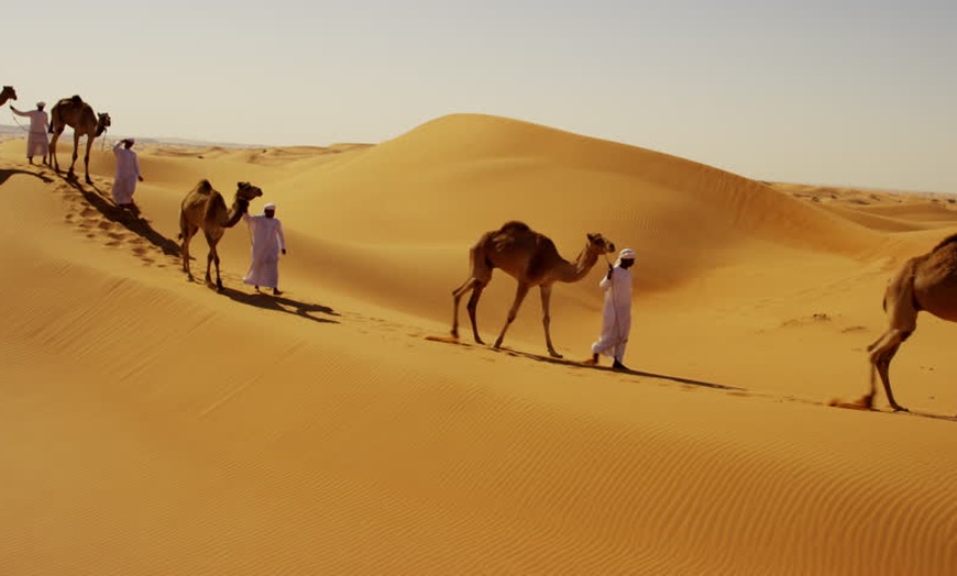 Image 6: Desert Safari with Dinner, Shows