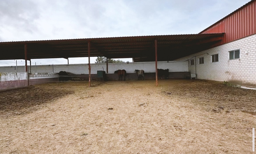 Image 14: Cumpleaños infantil o capea con comida, bebida y DJ para 20 personas