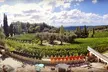 Visite guidée 45 min et dégustation 3 vins bio pour 1 ou 2 personnes au Vignoble Des Hautes Collines De La Cote D'azur - Second Medium