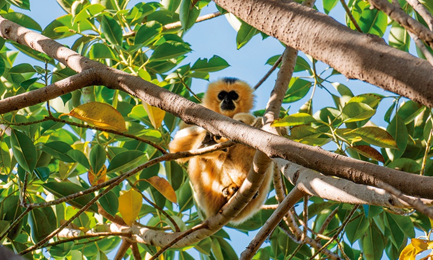 Image 4: Vive un viaje educativo y salvaje con una entrada a Bioparc Fuengirola