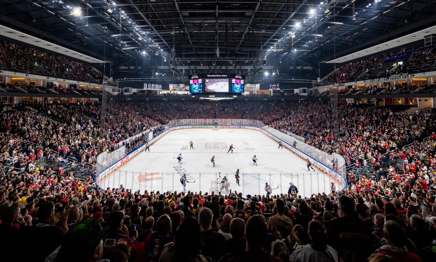 Image 5: Heimspiel der Eisbären Berlin