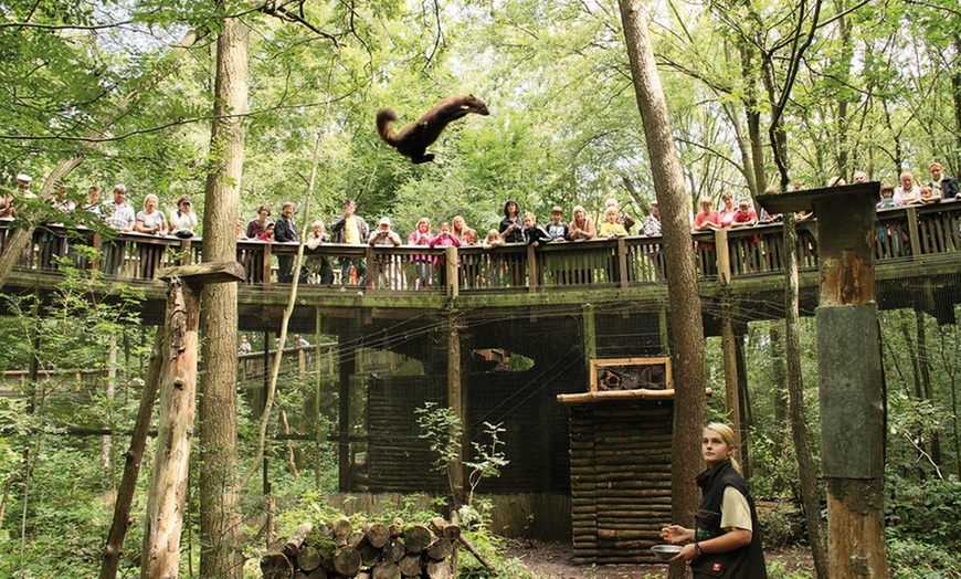 Image 5: Bis zu 22% Rabatt auf den Zoo – Tierpark/Safaripark bei Otter Zentrum