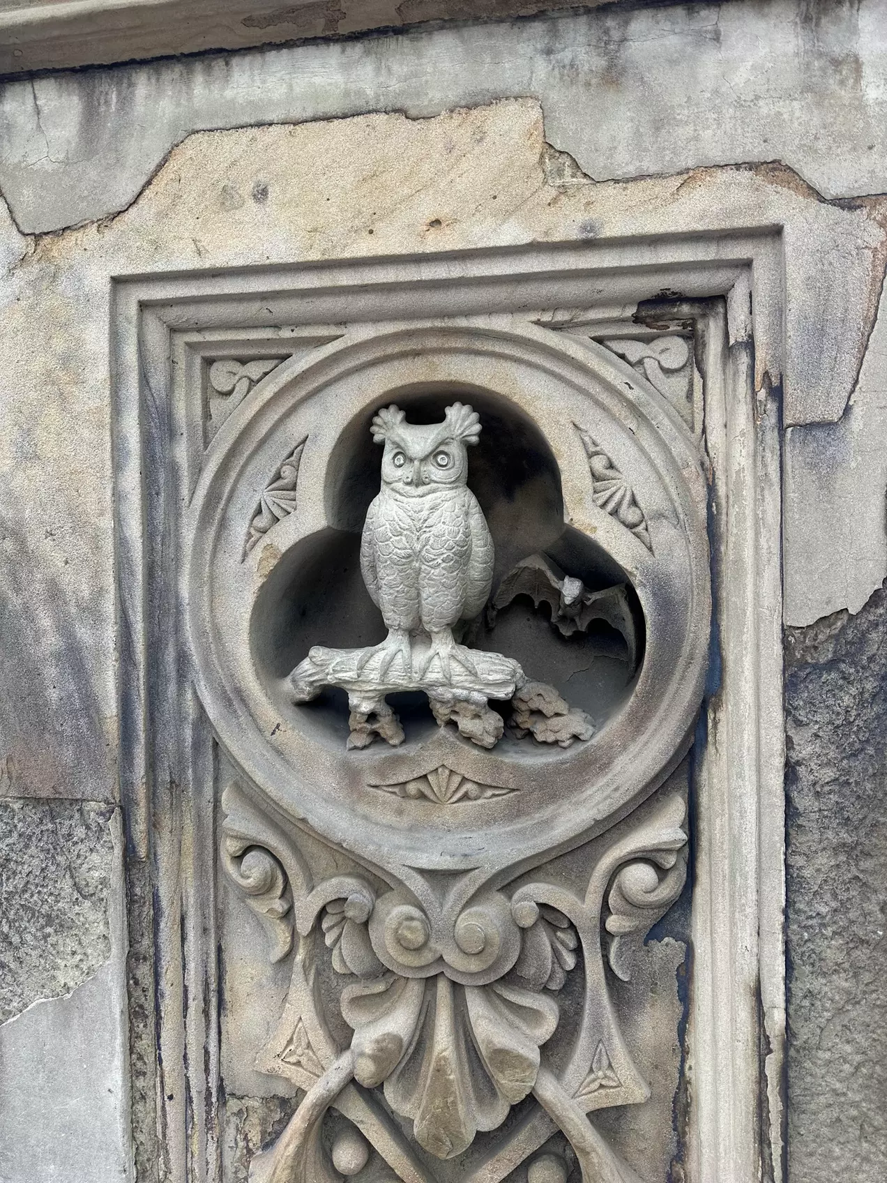 Explore Central Park on a 90-Minute Walking Tour