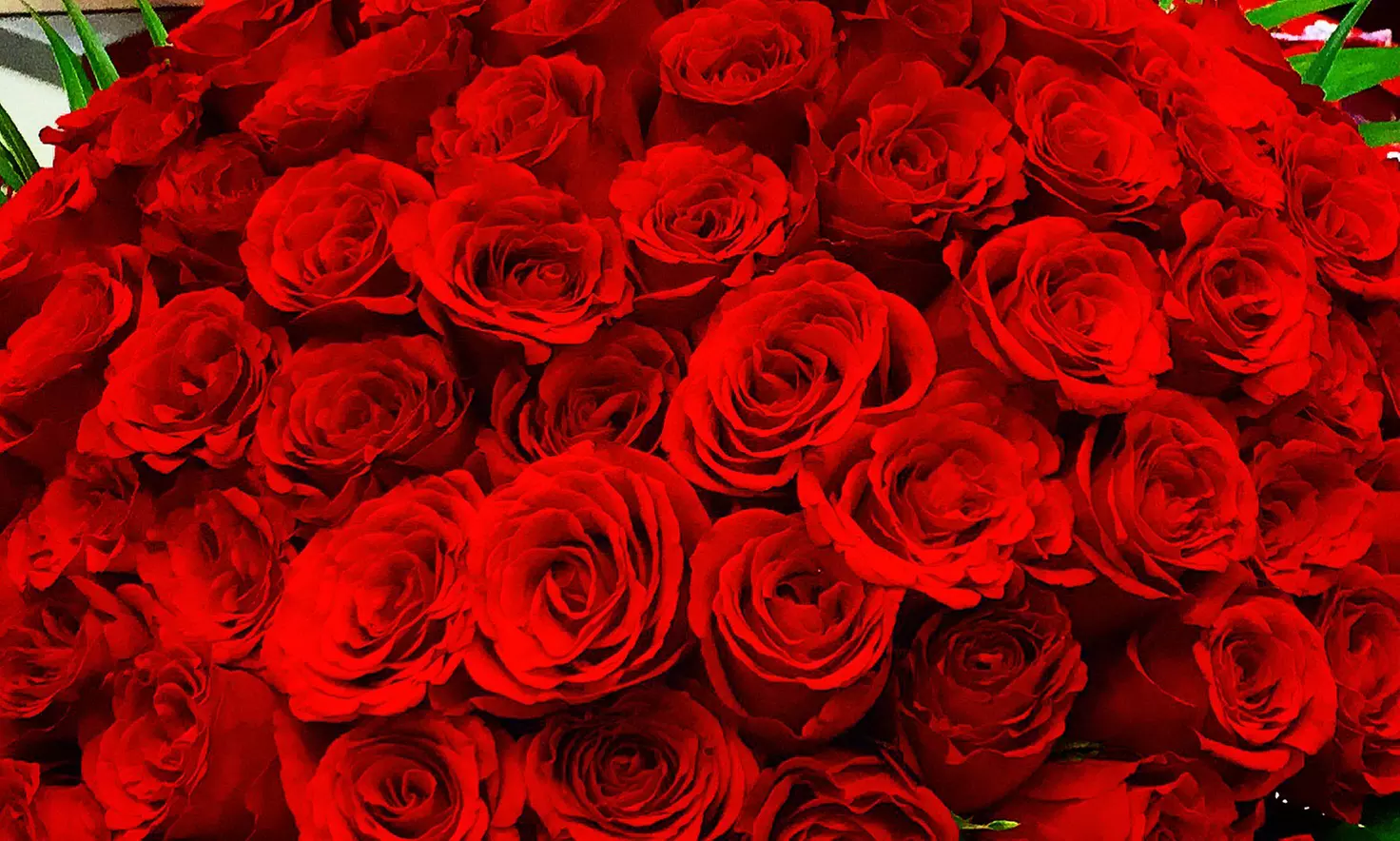 50 to 200 Roses and Card