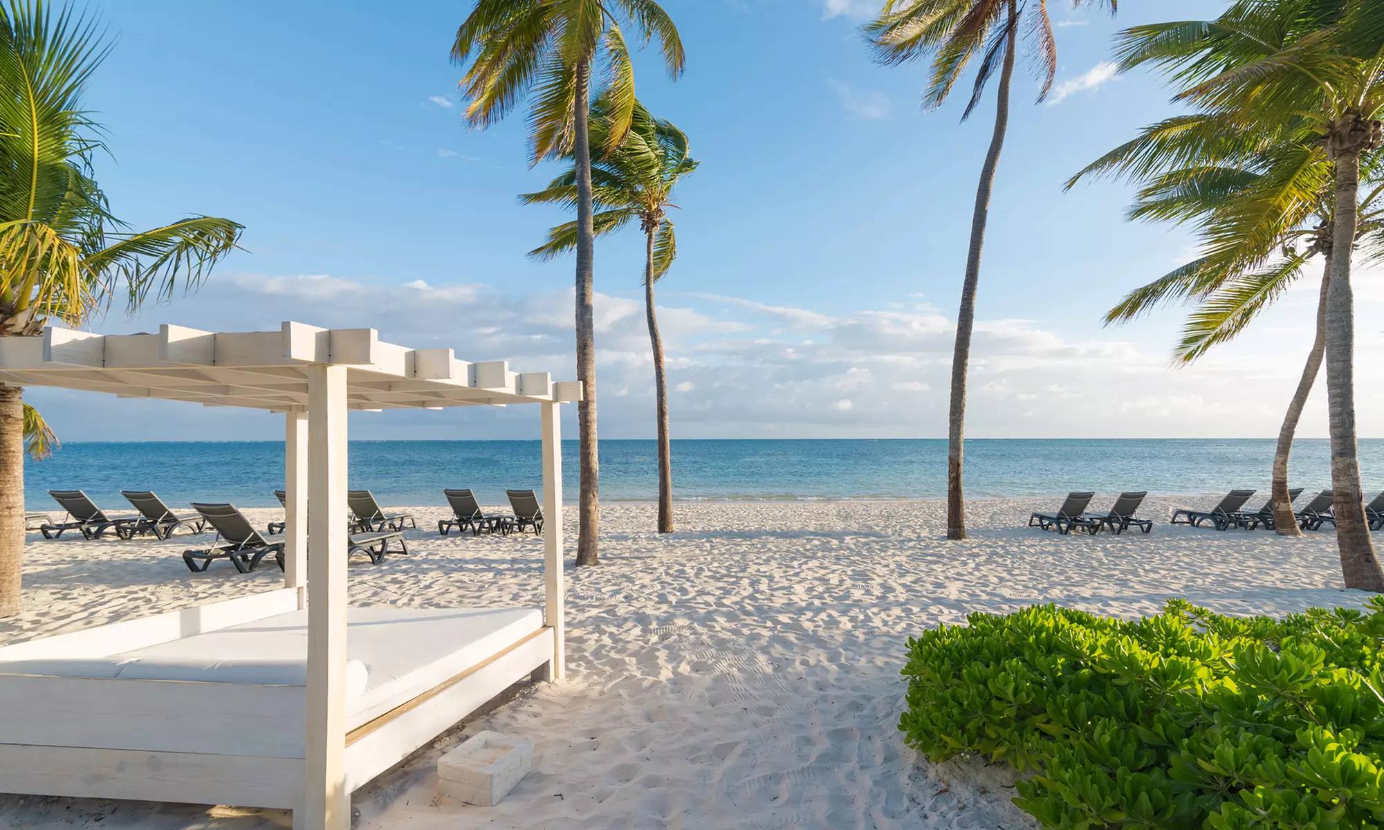 All-Inclusive Stay at Catalonia Bavaro Beach Golf & Casino Resort in Punta Cana, Dominican Republic. Dates into April.     - Primary Image