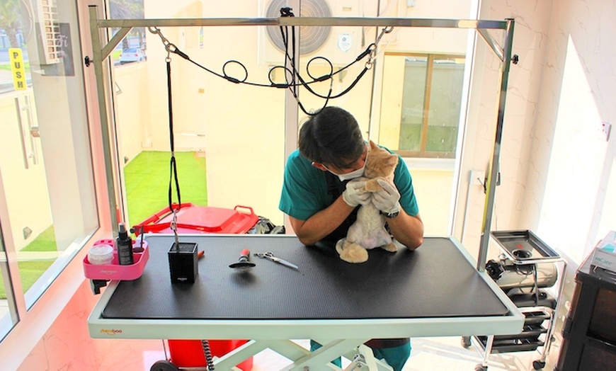 Image 3: Pet Grooming Service