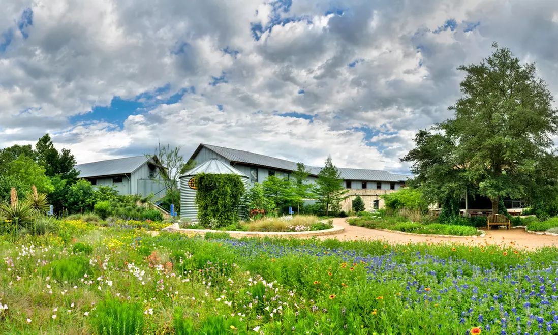 $5.25 for General Admission for One Person to Lady Bird Johnson Wildflower Center ($10 Value) - Primary Image