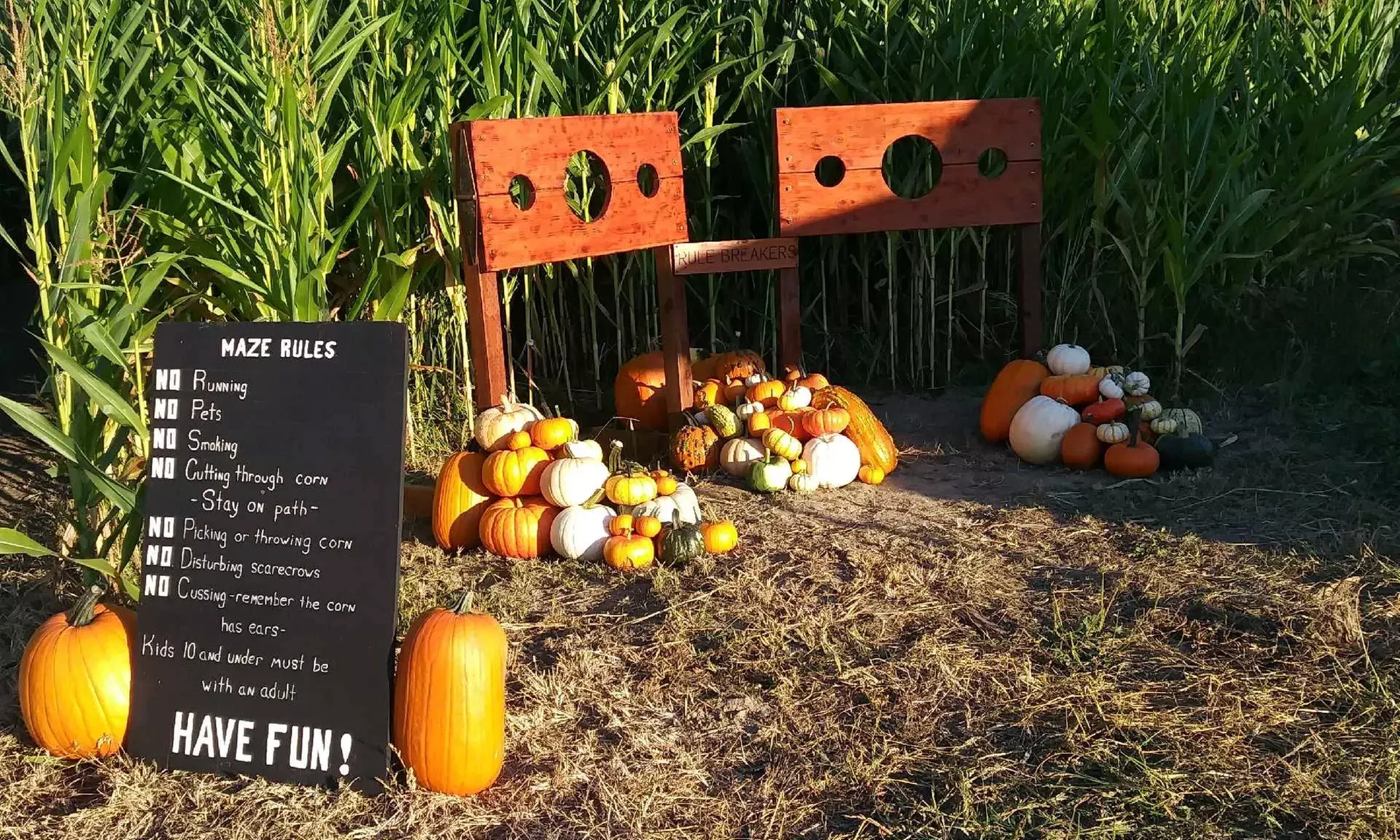 Get Lost in the Corn Maze and Relax by the Communal Fire Pits