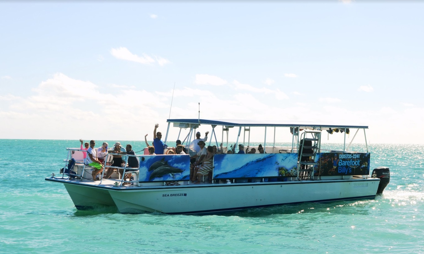Discover the Ultimate 3.5-Hour Dolphin Watch and Snorkel Tour
