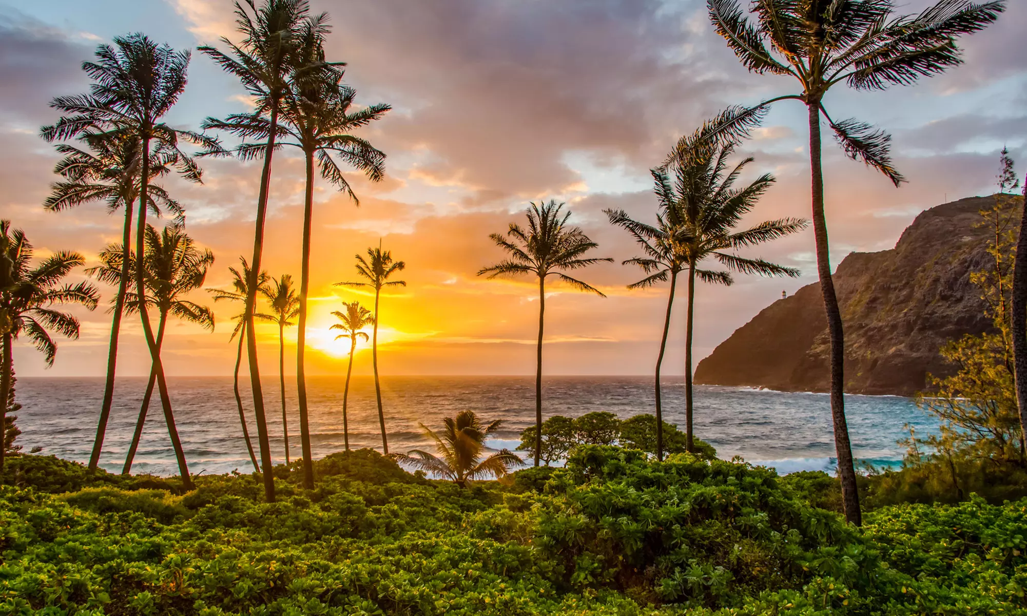 Explore Oahu with Sunrise & Waterfall Tours for Two and Families