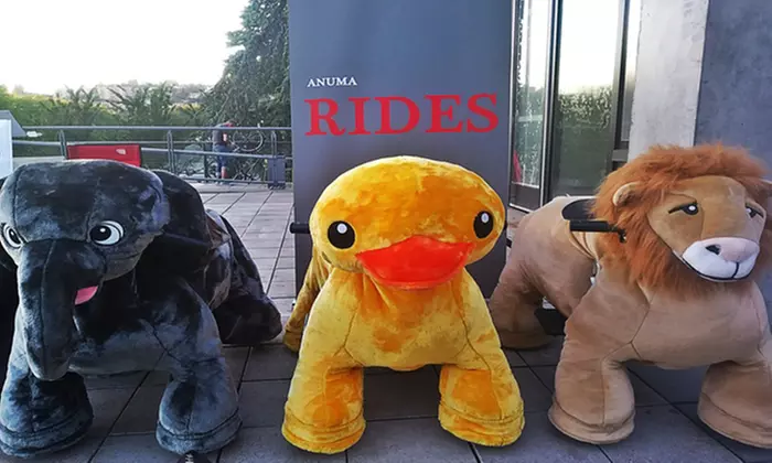Two or Three Hours of of Unlimited Animal Ride Rental at Anuma Rides (Up to 48% Off) - Primary Image