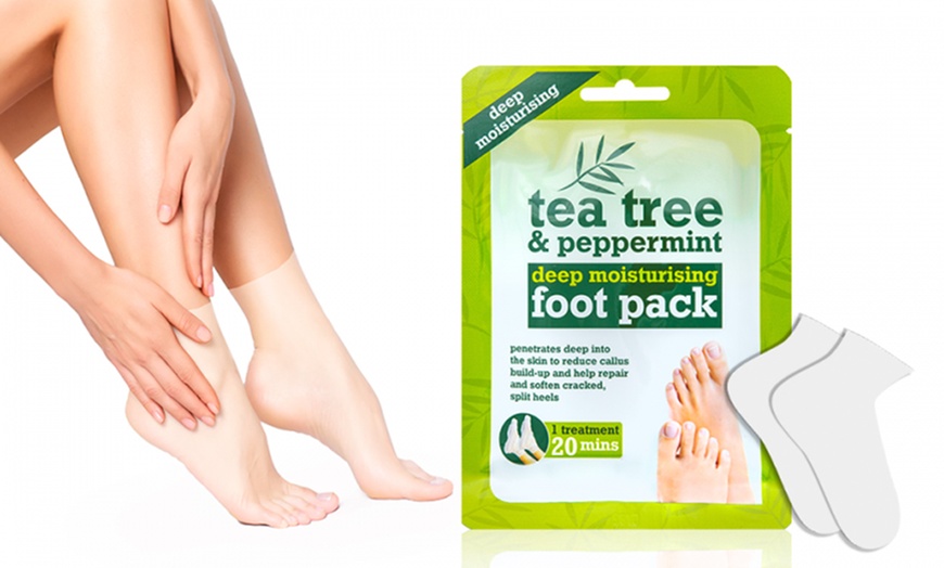 Image 2: Tea Tree Oils or Foot Masks