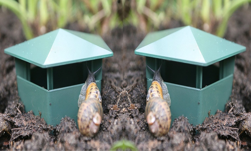 Image 1: One-, Four-, or Eight-Pack of Easy-to-Use Snail Traps