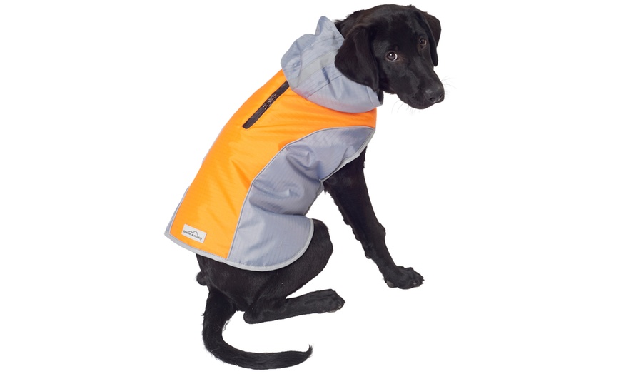 Eddie bauer snowfield 2025 performance jacket for dogs