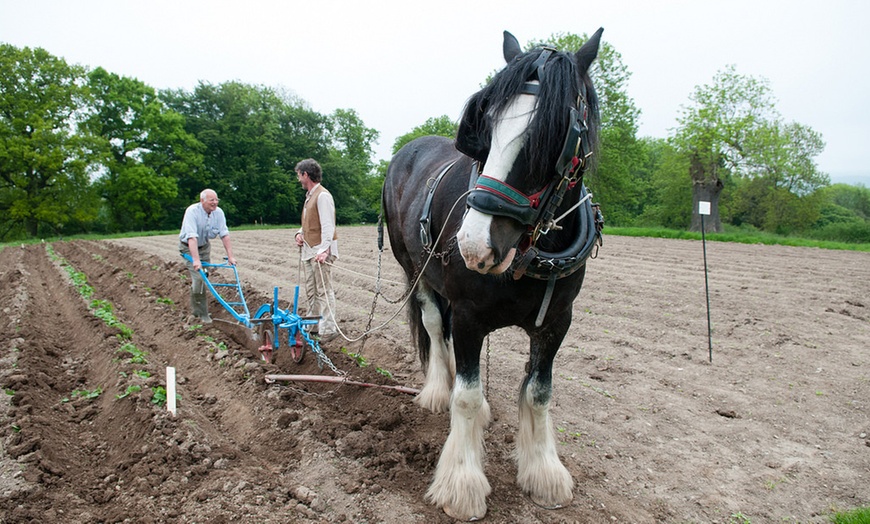 Image 4: Victorian Farm Entry, Shropshire