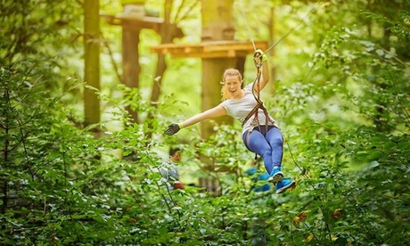 Accès aux parcours d'accro-branche pour 1, 2, 4, 6, 8 ou 10 personnes dès 14,99 € au  SpaForest