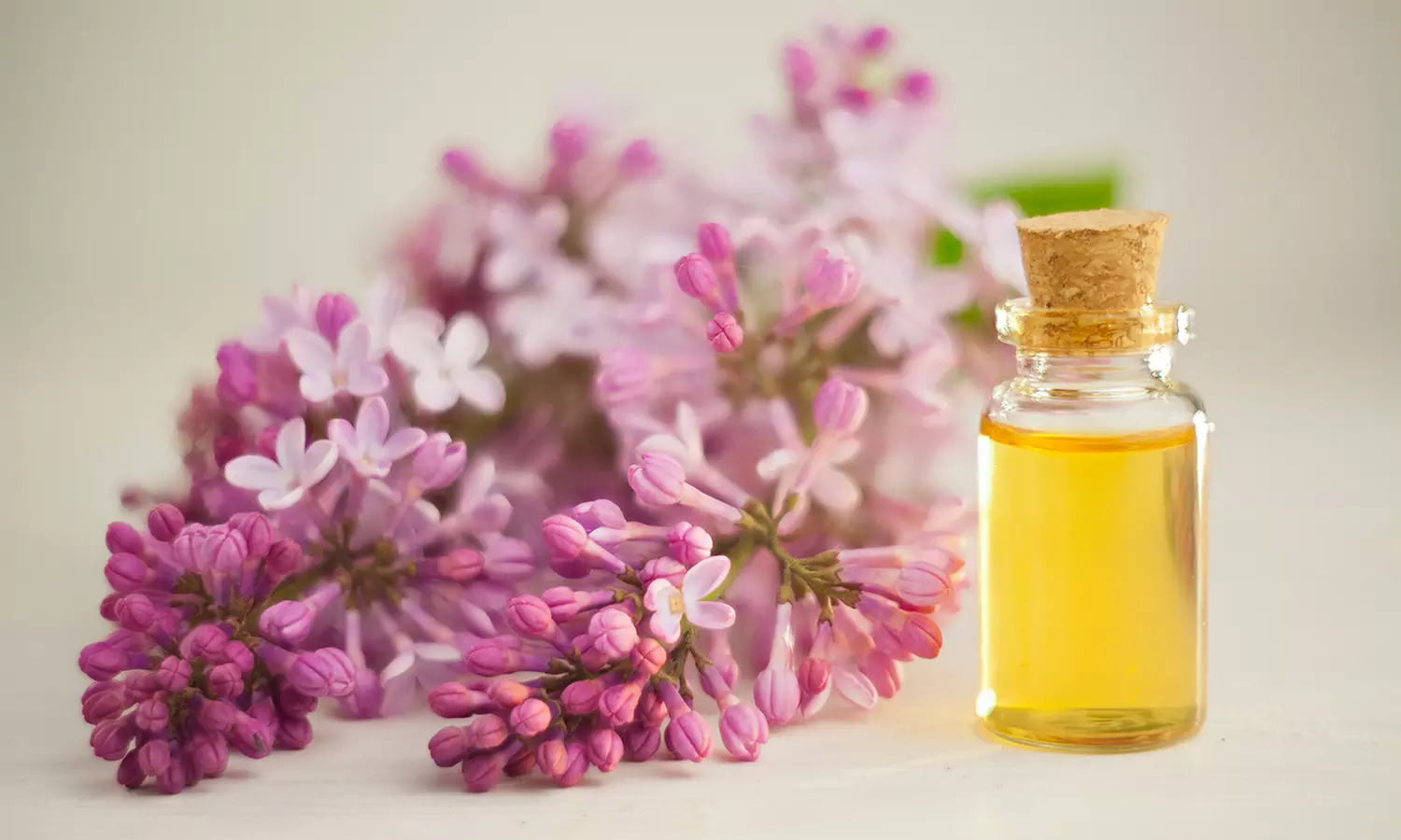 Certified Master Herbalist Online Course