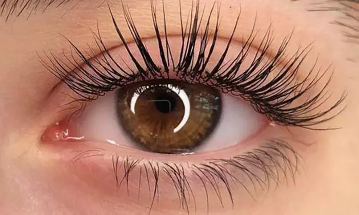 Tratamiento de cuidado de pestañas y/o cejas a elegir para 1 persona