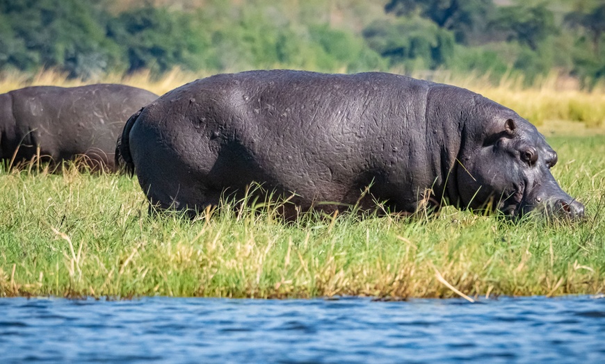 Image 28: 8-Day Yoga & Safari Retreat