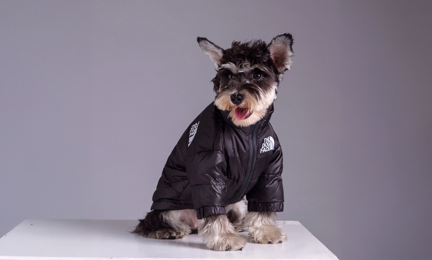 Image 1: Comfortable Winter Pet Jacket