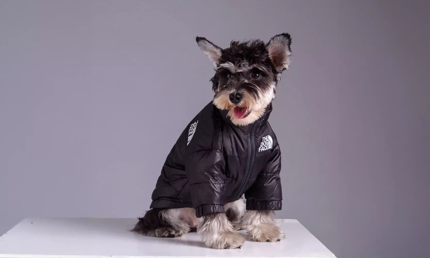 Comfortable Winter Pet Jacket