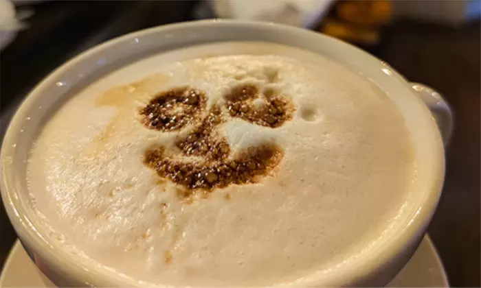 Authentische sächsische Speisen in historischer Dorfidylle genießen