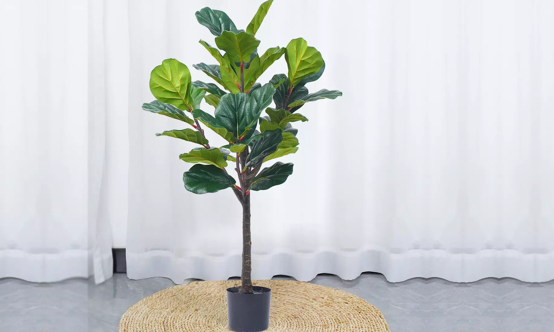 Collezione di piante finte da interno