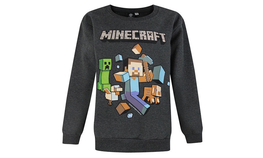 Image 12: Minecraft T-Shirts or Hoodies