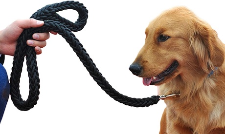 Guinzaglio a corda per cani disponibile in 4 colori