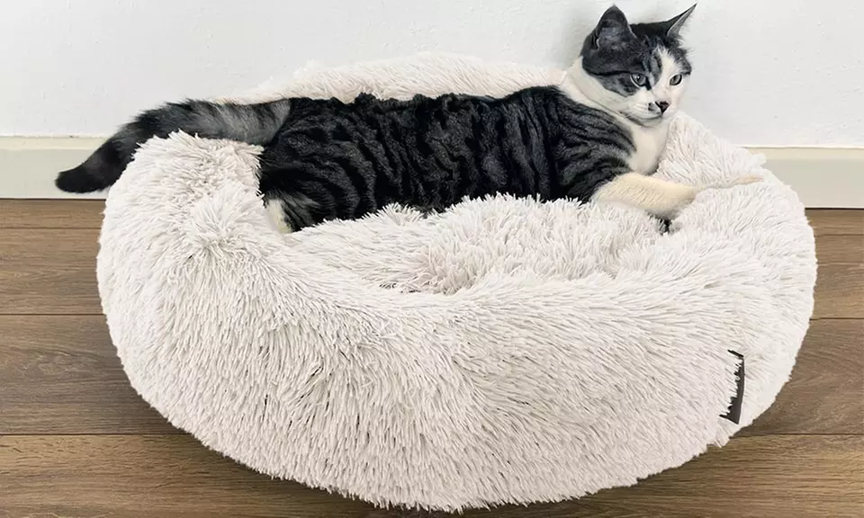 Cuccia extra-soffice per gatti e cani