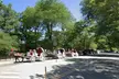 Experience Central Park's Beauty with a Choice of Horse-drawn Carriage Tour from New York City Rides (Up to 10% Off) - Second Medium