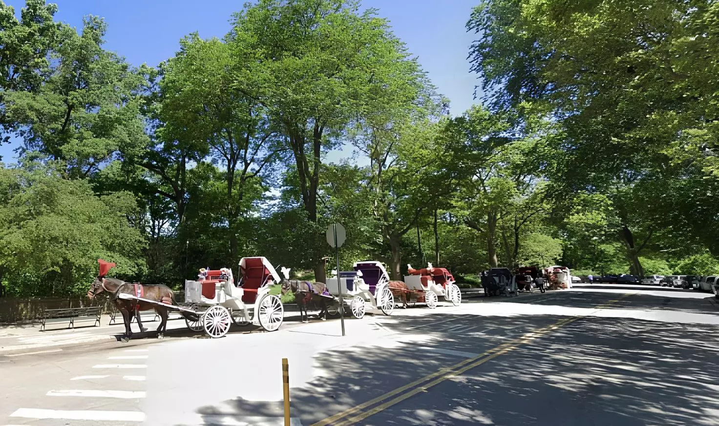 Explore Central Park with a Choice of Horse-drawn Carriage Tour!