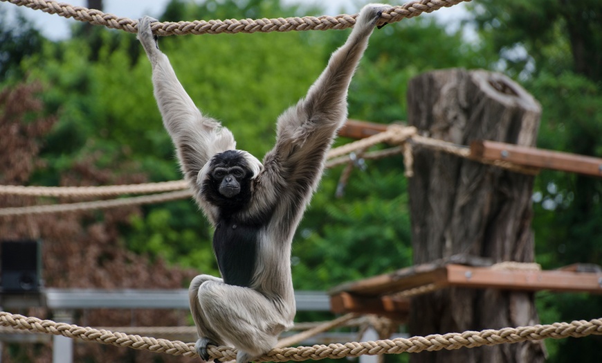 Image 5: Bilet do wrocławskiego ZOO wraz z Afrykarium 