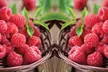Summer Fruiting Raspberry Ruby Beauty - 1, 2 or 3 plants - Image 3