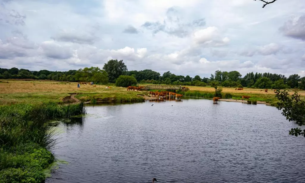 Suffolk: One or Two-Night Stay with Breakfast