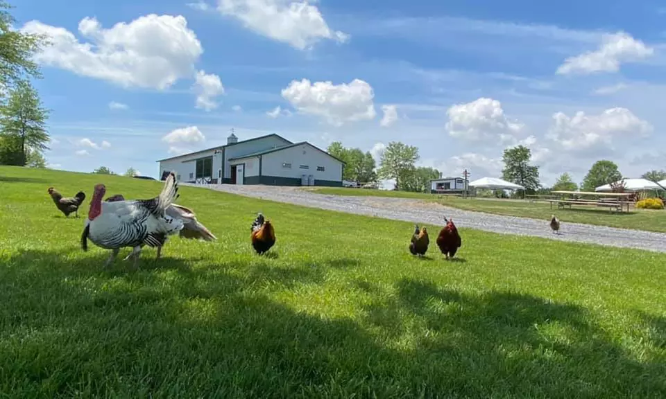 General Admission for One, Two, or Four at Green Meadows Petting Farm (Up to 25% Off) - Primary Image