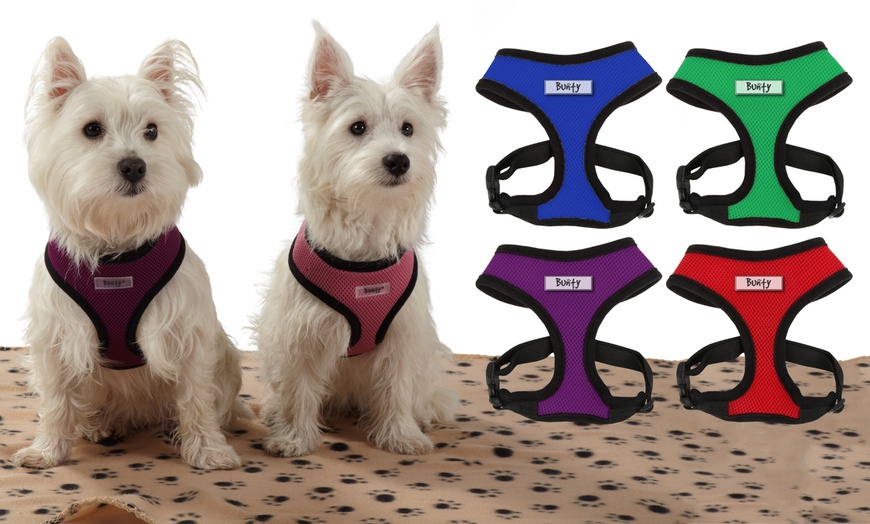 Image 1: Adjustable Harness for Dogs