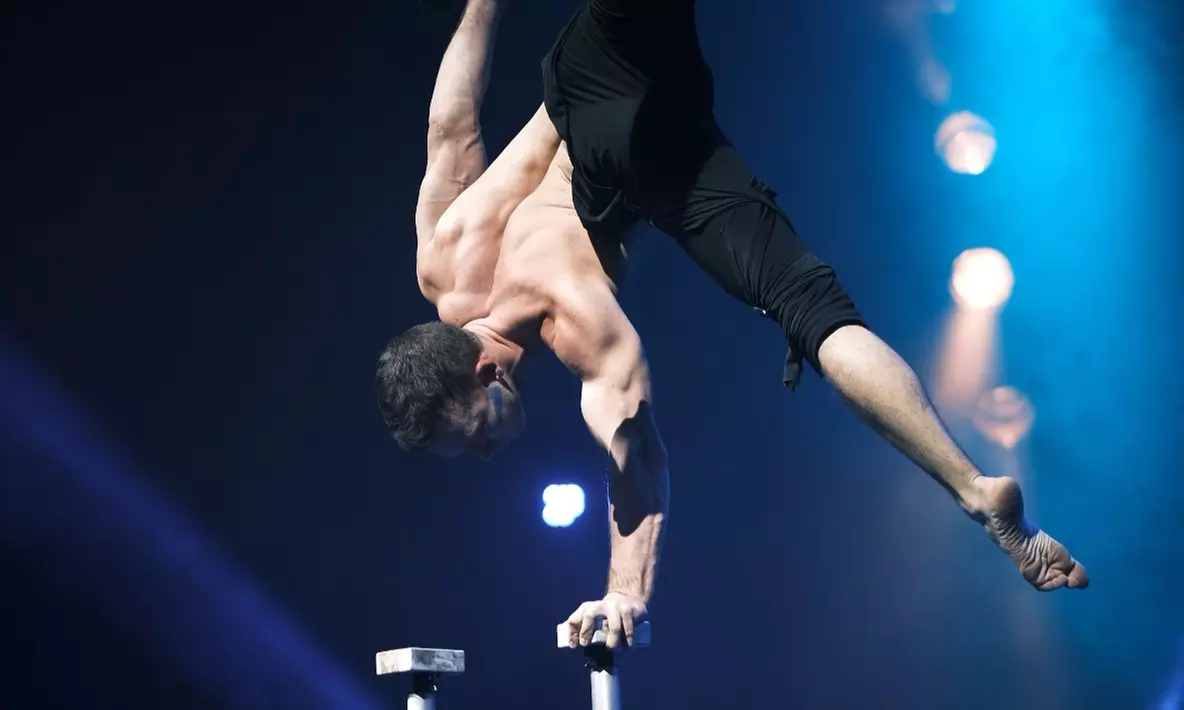 Ticket für den 14. Saarbrücker Weihnachtscircus von Dez. 25 - Jan. 26