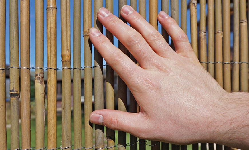 Image 5: Bamboo Cane Screen Roll