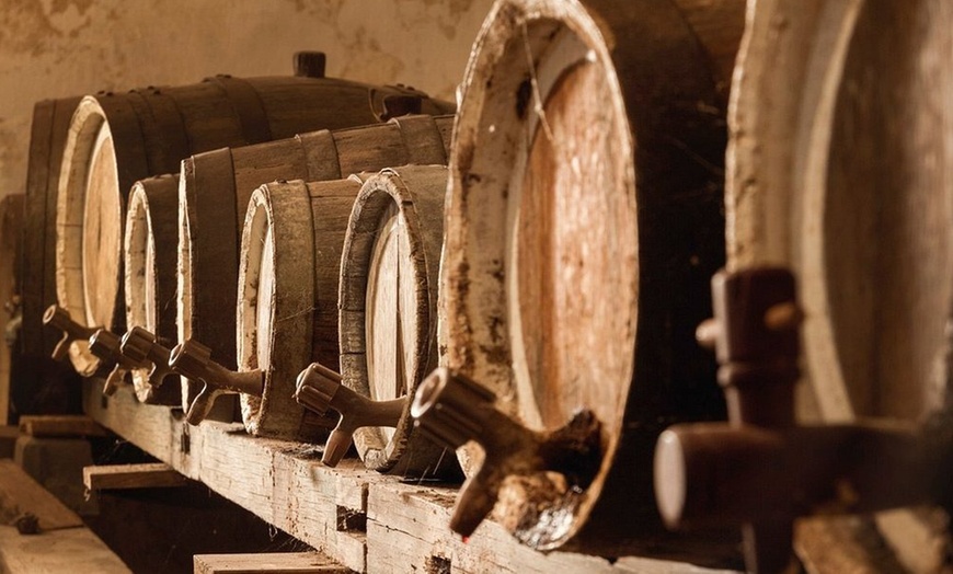 Image 8: Visita a Bodegas, Museo del Vino y cata con aperitivos