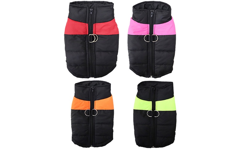 Image 3: Insulated Wind-Resistant Jacket for Pets