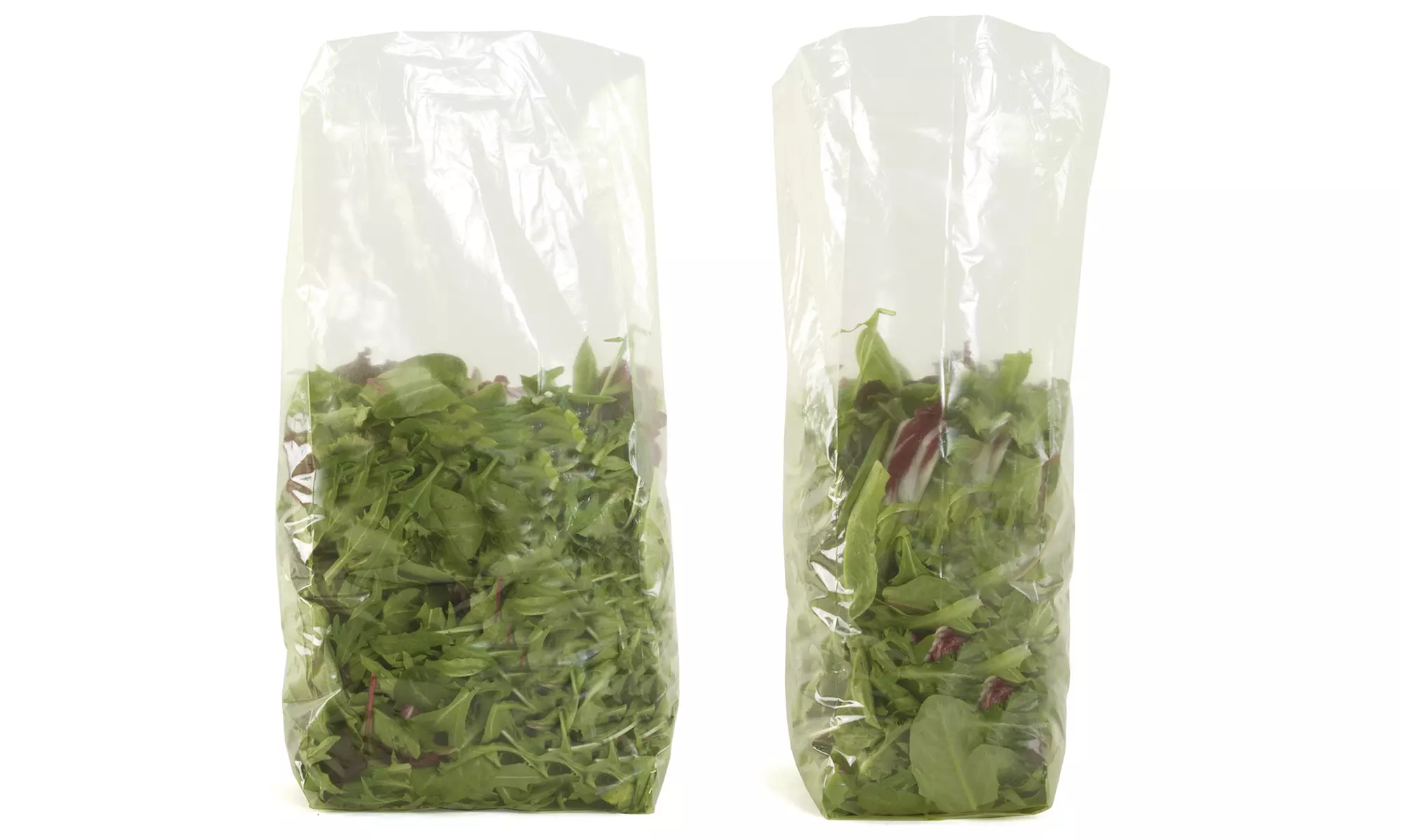Reusable Freshness Food Storage Bags (30-Pack) - Second Medium