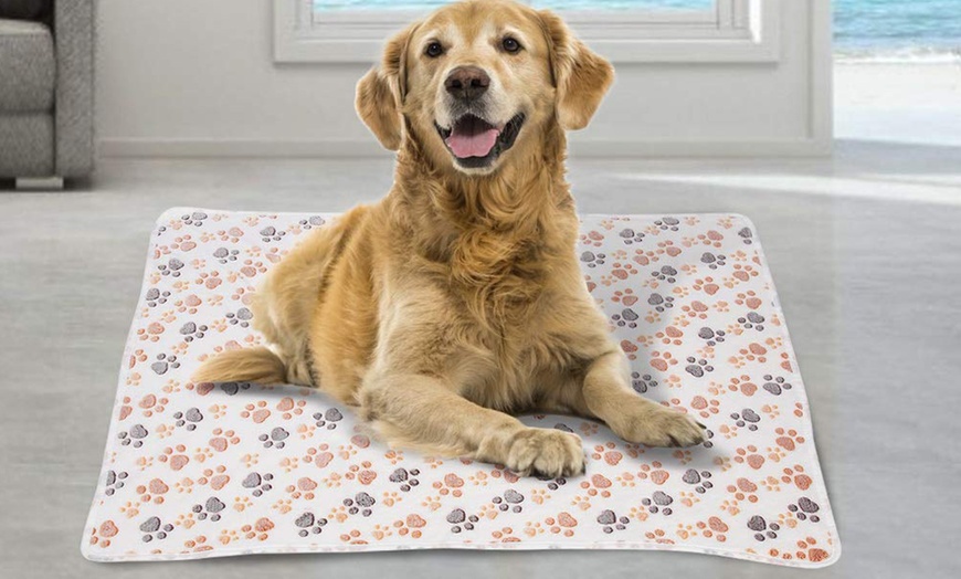 Image 10: Paw Print Light Blanket