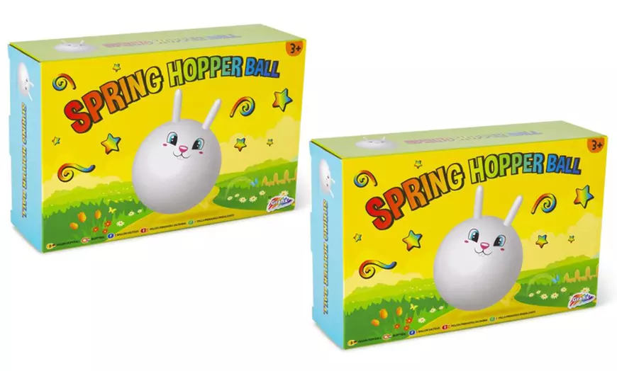 Image 2: RMS Spring Bunny Hopper

